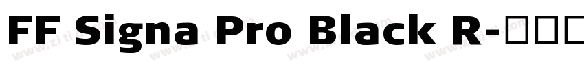 FF Signa Pro Black R字体转换
